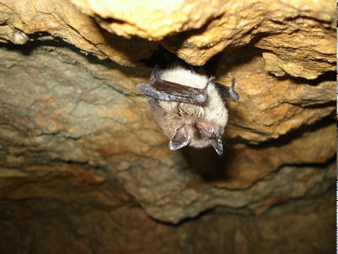 Виктор Матвеев фотография #4