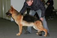 Фотография Халабурдина Сергея