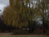 Фотография Лукояновой Любови