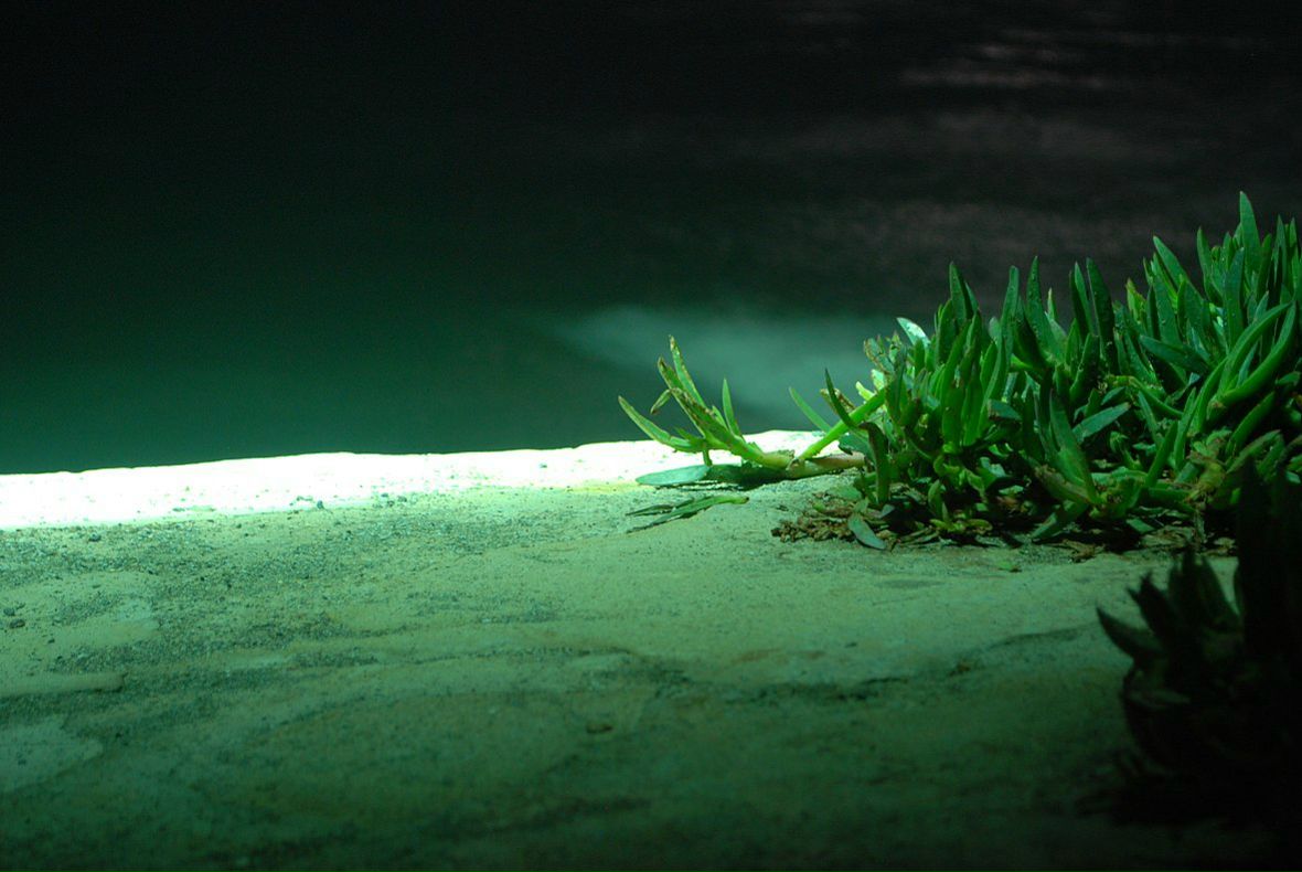 Виктор Беляев фотография #13