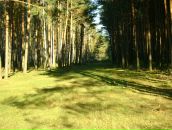 Віктор Шушвар фотография #47 (источник - https://vk.com/id71767309)