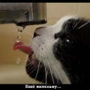 Фотография Сергеевича Святослава