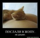 Вадім Павленко фотография #24 (источник - https://vk.com/id139979712)
