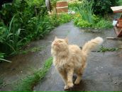 Фотография Дитенбира Виктора