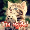 Лєночка Червук фотография #11 (источник - https://vk.com/id164387539)