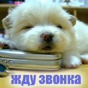 Діма The best фотография #4 (источник - https://vk.com/id71165787)