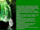 Фотография Одинцова Евгения