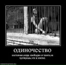 Олексій Дроздов фотография #28 (источник - https://vk.com/id39117121)