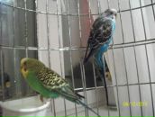 Фотография Животовской Ольги