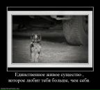 Віталік Новак фотография #45 (источник - https://vk.com/id14774341)