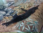 Сергій Папроцький фотография #3 (источник - https://vk.com/id11061303)