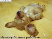 Фотография Архиповой Марусик