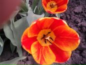 Фотография Подоприхиной Елены