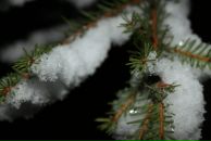 Дарья Базанова фотография #17 (источник - https://vk.com/id8874885)