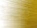 Петя Красилівський фотография #20 (источник - https://vk.com/id144616669)