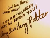 Фотография Васильевой Евгении