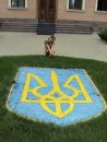 Олена Дичаківська фотография #41 (источник - https://vk.com/id84744846)