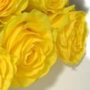 Василь Дмитрів фотография #43 (источник - https://vk.com/id98013424)