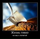 Фотография Чепрасова Вадима