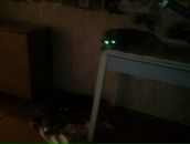 Фотография Пузырева Евгения