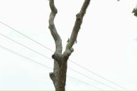 Кса На фотография #4 (источник - https://vk.com/id3671604)