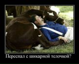 Тетяна Аліфіренко фотография #19 (источник - https://vk.com/id66357014)