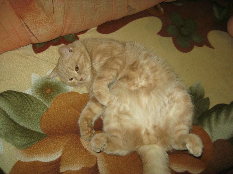 Дмитрий Криницын фотография #29