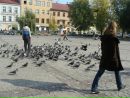 Станіслава Гусакова фотография #32 (источник - https://vk.com/id58107583)