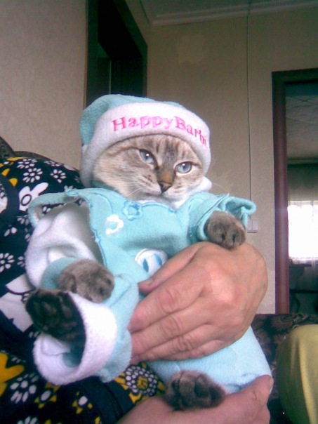 Гнпмнг Нрш фото №1