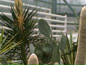 Світлана Савіцька фотография #32 (источник - https://vk.com/id91957355)