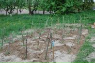 Андрій Черхавий фотография #4 (источник - https://vk.com/id7295328)