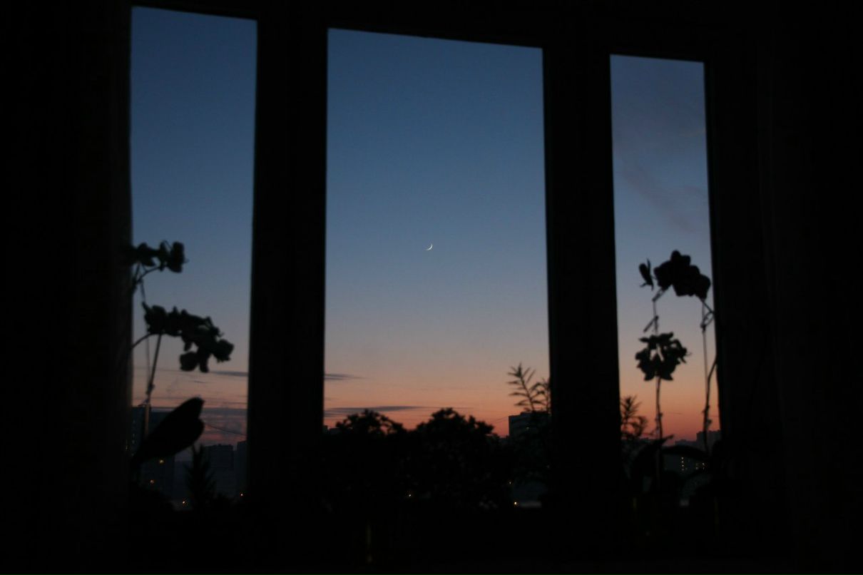 Дмитрий Квитка фотография #31