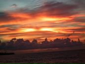 Фотография Овсянниковой Светланы