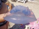 Діма Штурма фотография #34 (источник - https://vk.com/id55220686)