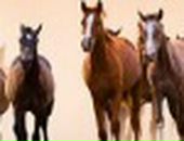 Віктор Андрощук фотография #36 (источник - https://vk.com/id64900016)