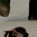 Марія Юськевич фотография #20 (источник - https://vk.com/id76562134)