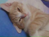 Фотография Соловей Натальи