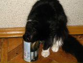 Антон Поштаренко фотография #25 (источник - https://vk.com/id928604)