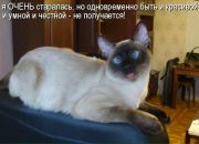 Фотография Либрехт Елены