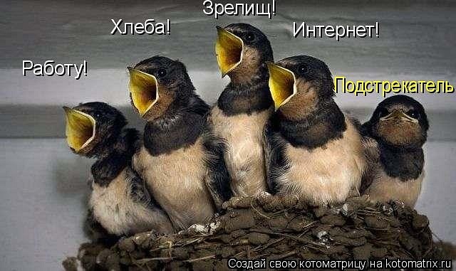 Ирина Левченко фотография #39