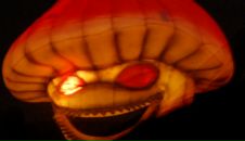 Фотография Давыдова Александра