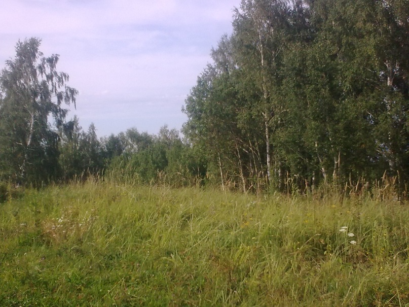 Сергей Плугарь фотография #43