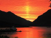 Фотография Тыриной Анастасии