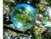 Вероніка Федишин фотография #2 (источник - https://vk.com/id45959990)