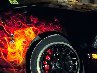 Роман Колодій фотография #7 (источник - https://vk.com/id138176920)