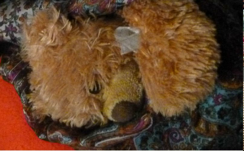 Tory Andersen фотография #37