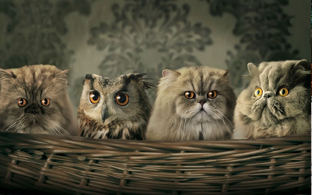 Евгений Савин фотография #22