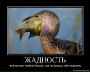 Андрій Ящук фотография #38 (источник - https://vk.com/id103615698)