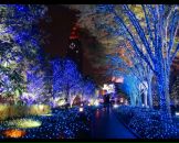 Фотография Ясько Евгении