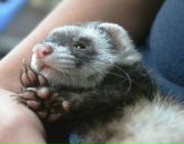 Фотография Яковлевой Катерины